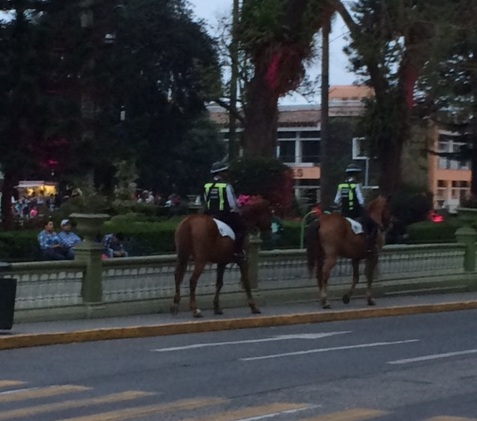 Acuchillan a mujer en pleno centro de Xalapa en intento de asalto. Noticias en tiempo real