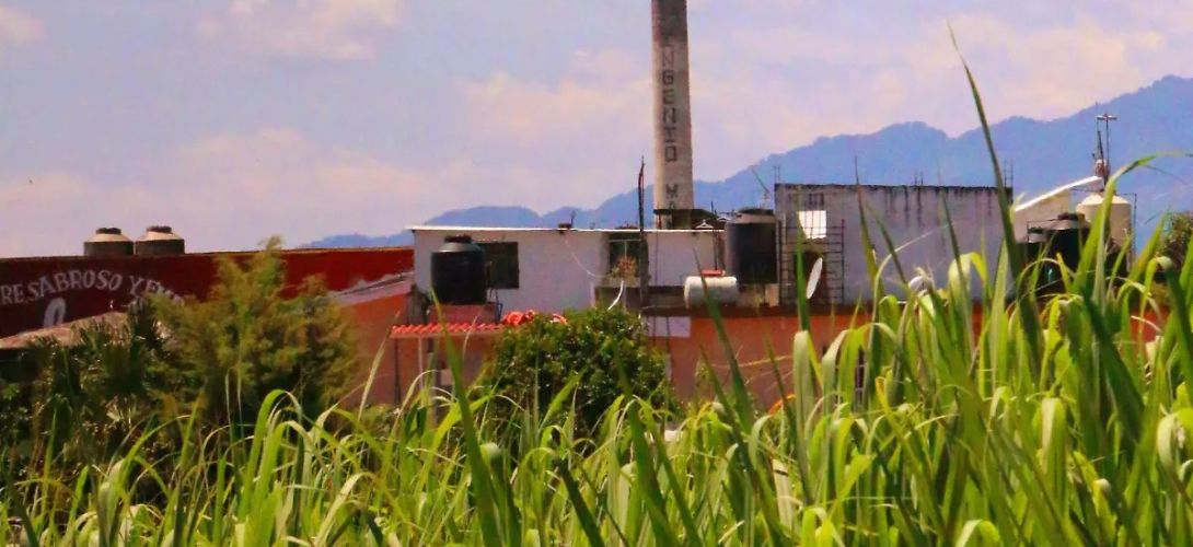 Veracruz celebra nuevo decreto