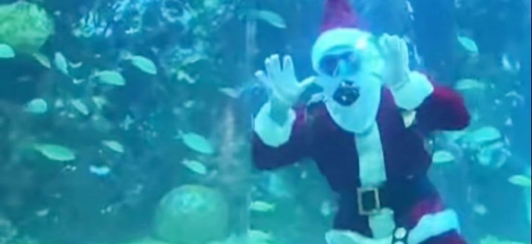 Santa Claus llega al Aquarium del puerto de Veracruz