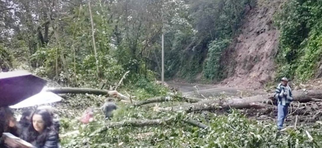 Caen árboles y se cierra la carretera federal 125 Coscomatepec-Huatusco