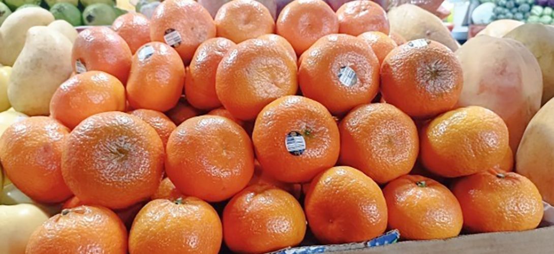 Se cotiza el kilo de mandarina chilena hasta en 110 pesos en mercados de Veracruz