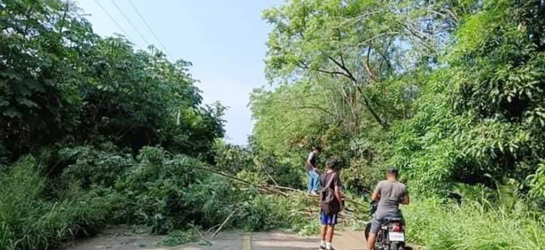 Cierren con ramas de árboles acceso a la presa Yuribia