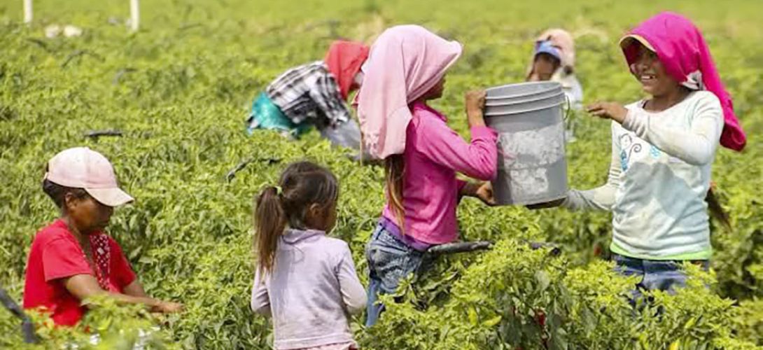 Atrapados en la pobreza, 45.8% de niños y jóvenes