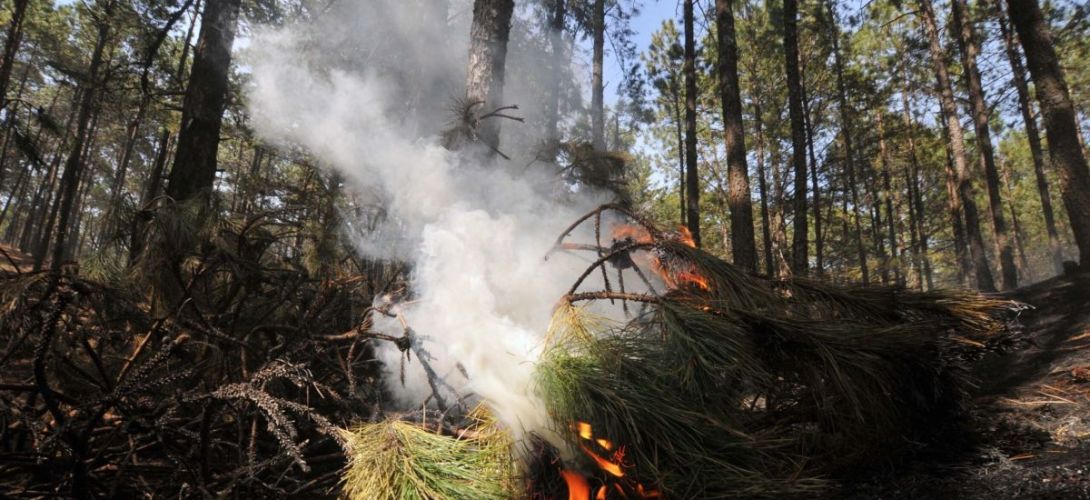 Veracruz, con más incendios forestales