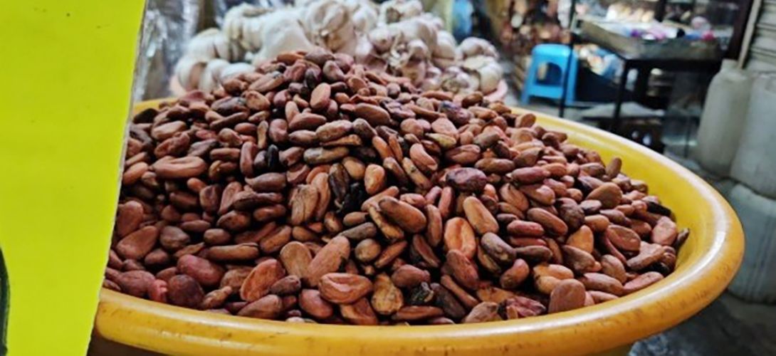 Escasez triplica el costo del cacao en Veracruz