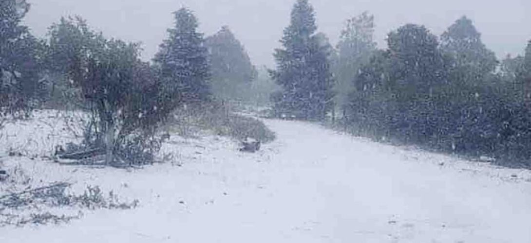 Se registran las primeras nevadas en Sonora