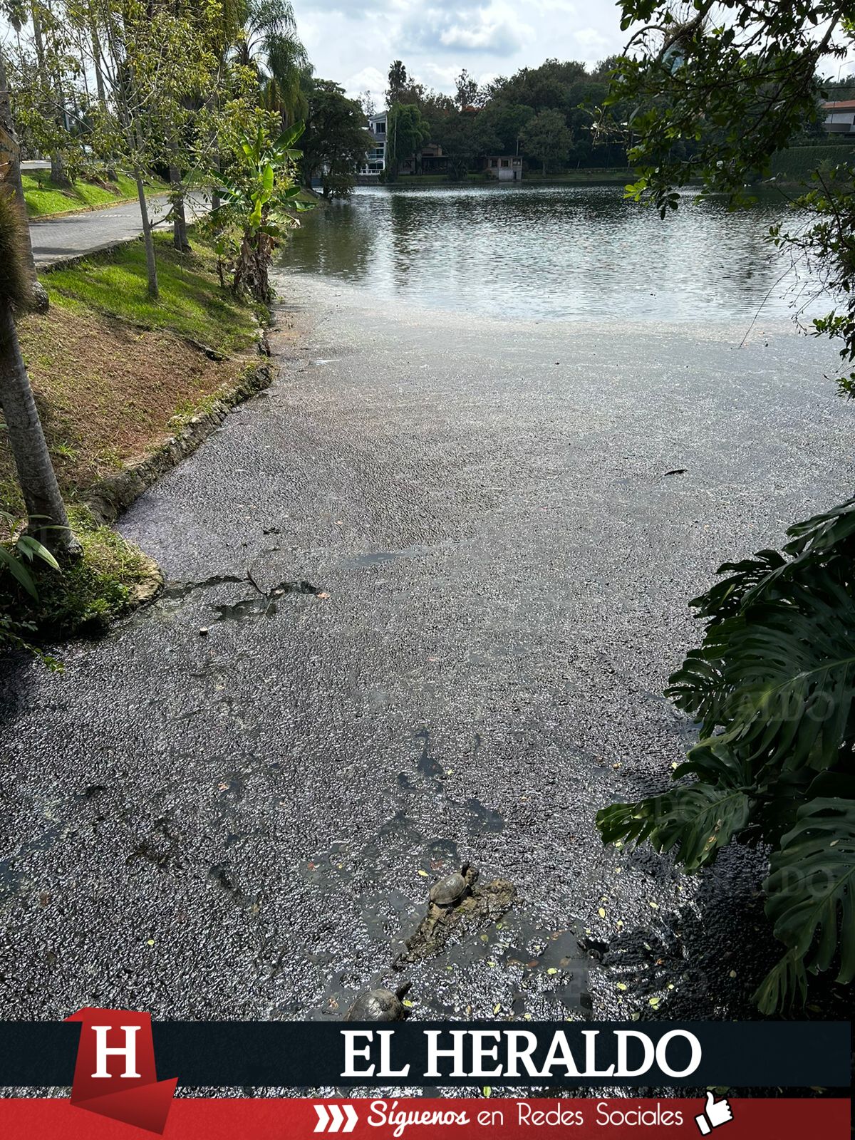 Lago de las Ánimas ahora