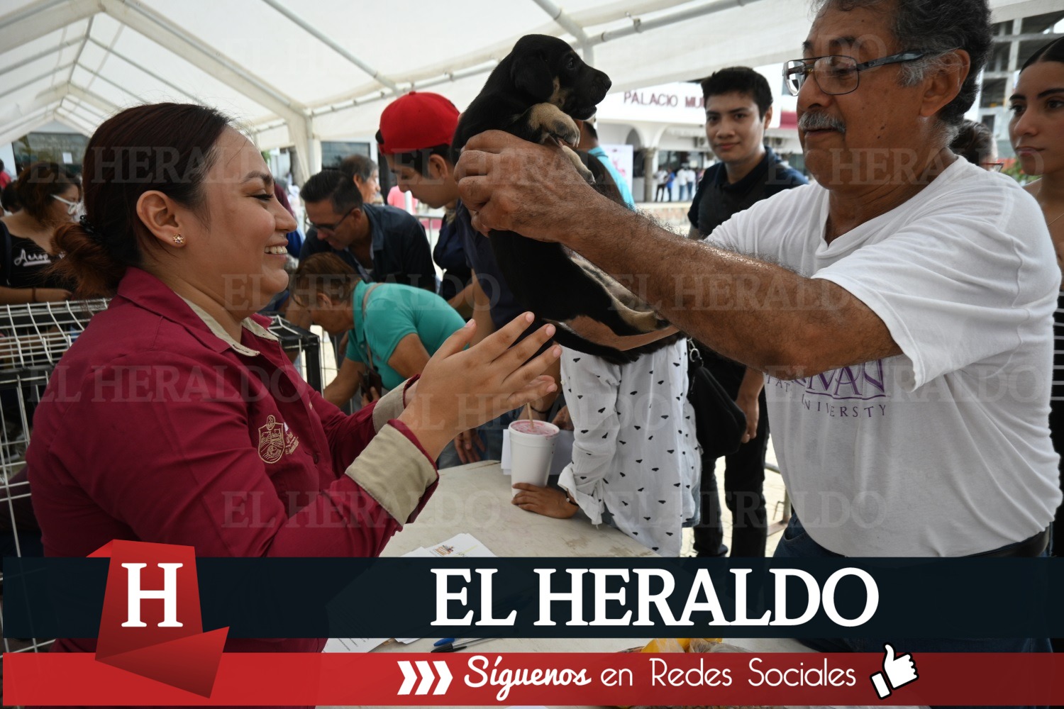 Gran respuesta a la jornada de adoptació