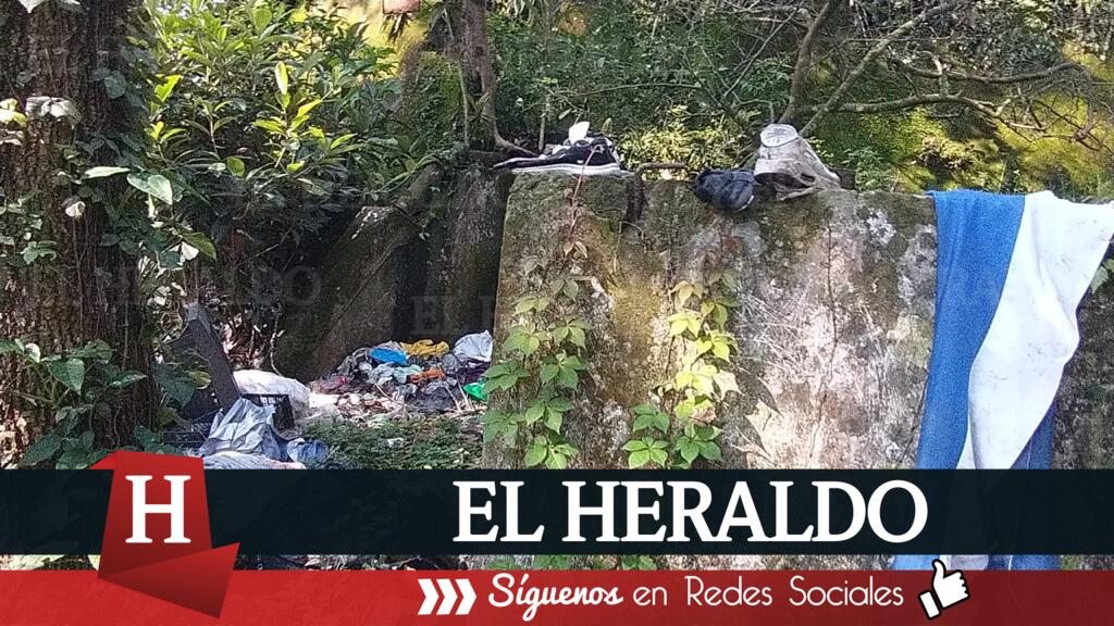 Basurero contribuiría a proliferación de Dengue