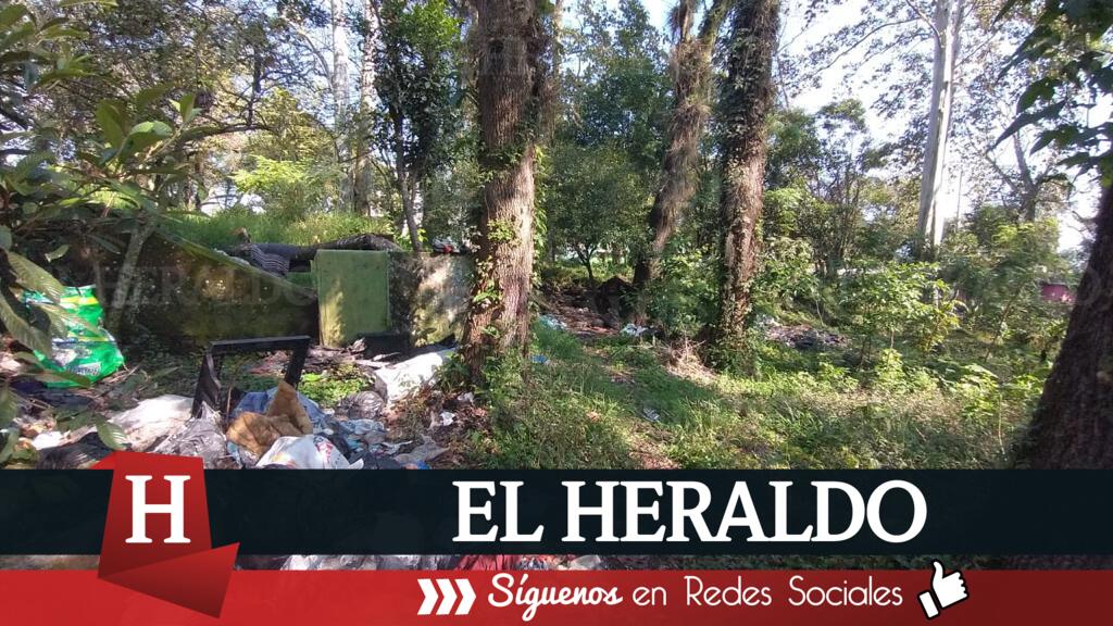 Basurero contribuiría a proliferación de Dengue 2