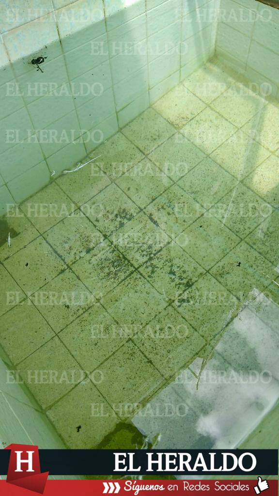 Denuncian falta de agua y cobros excesivos de CMAS 1