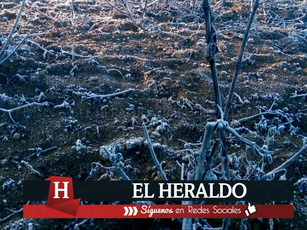 Heladas en 9