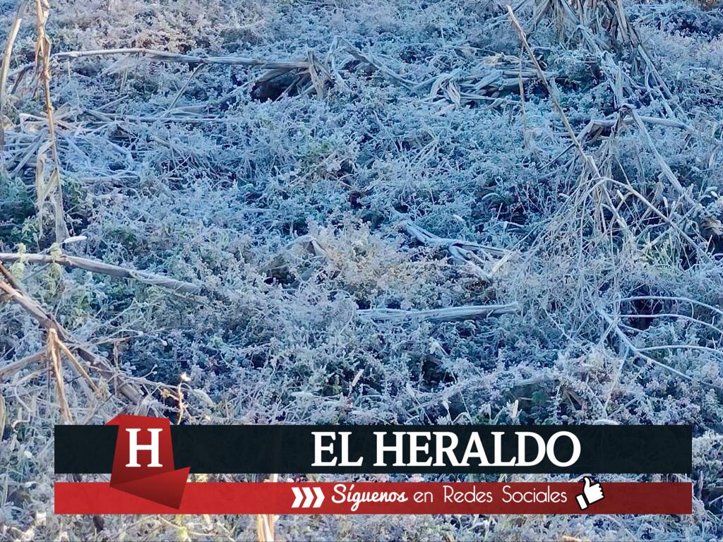 WhatsApp Image 2023 12 18 at 1.17.52 PM