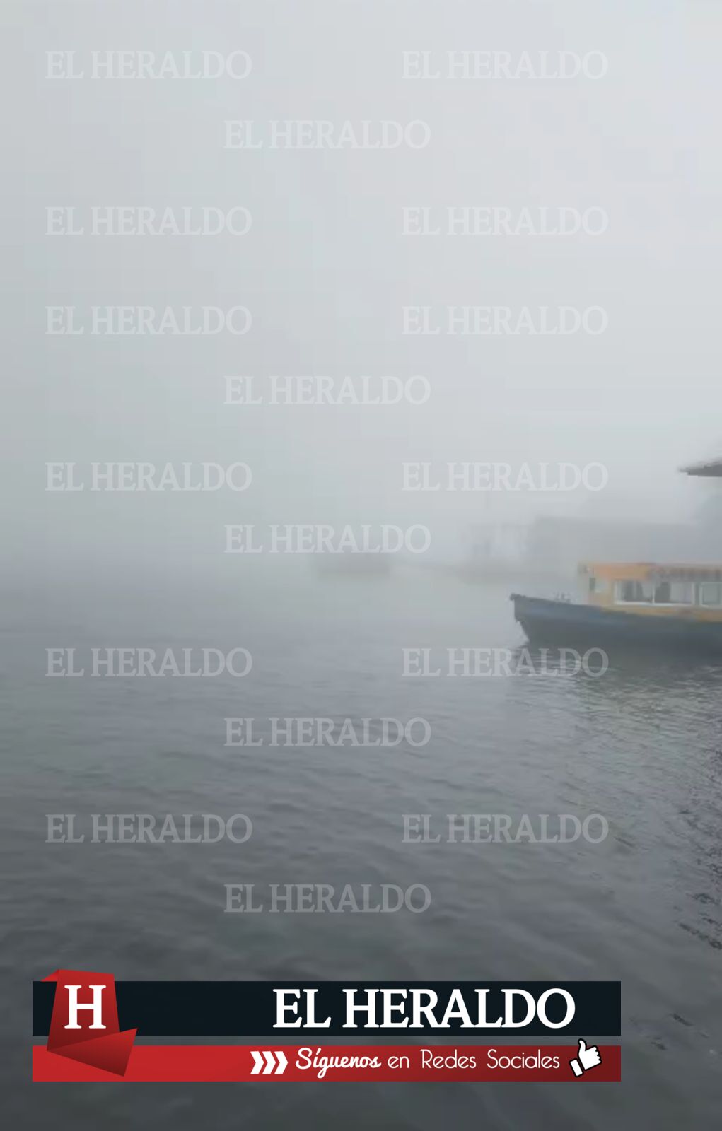 Niebla