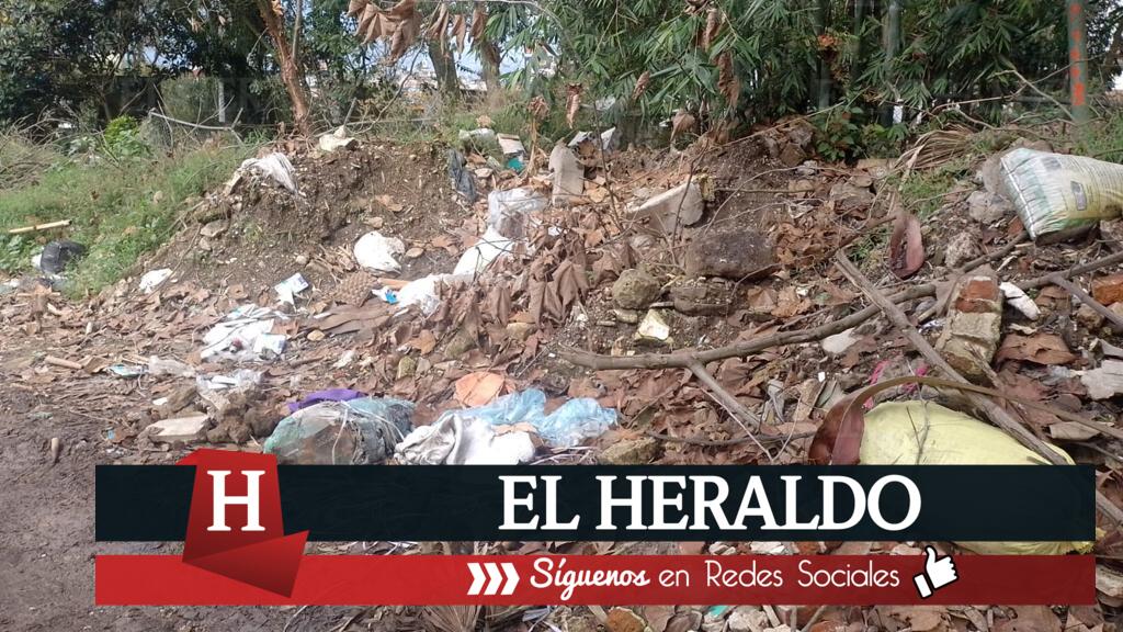 Usan calle 2