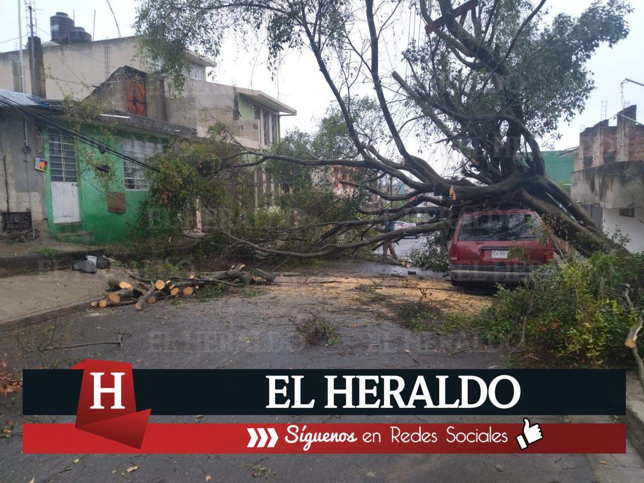 Tormenta Alberto 4