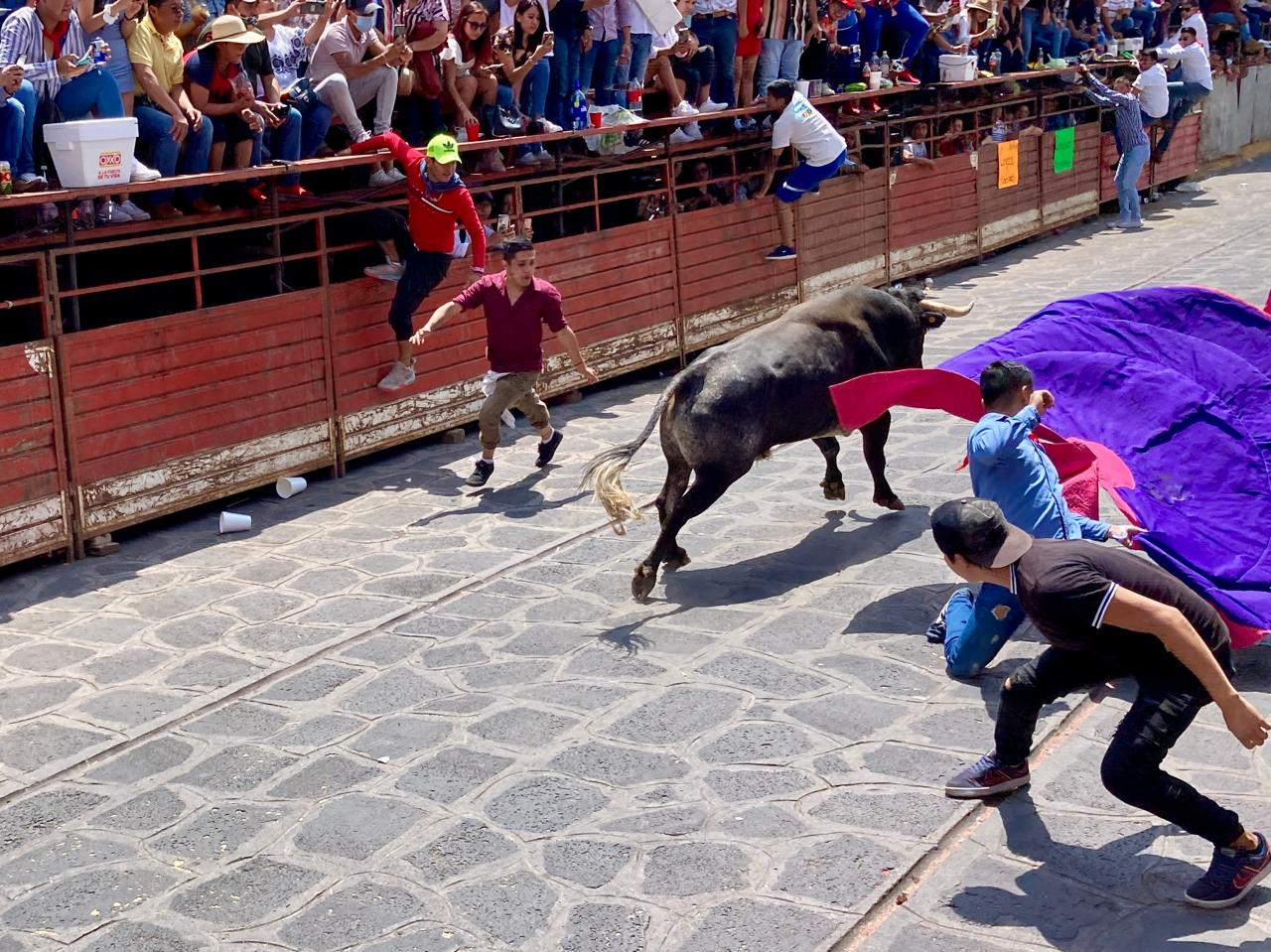 ANIMALISTAS 