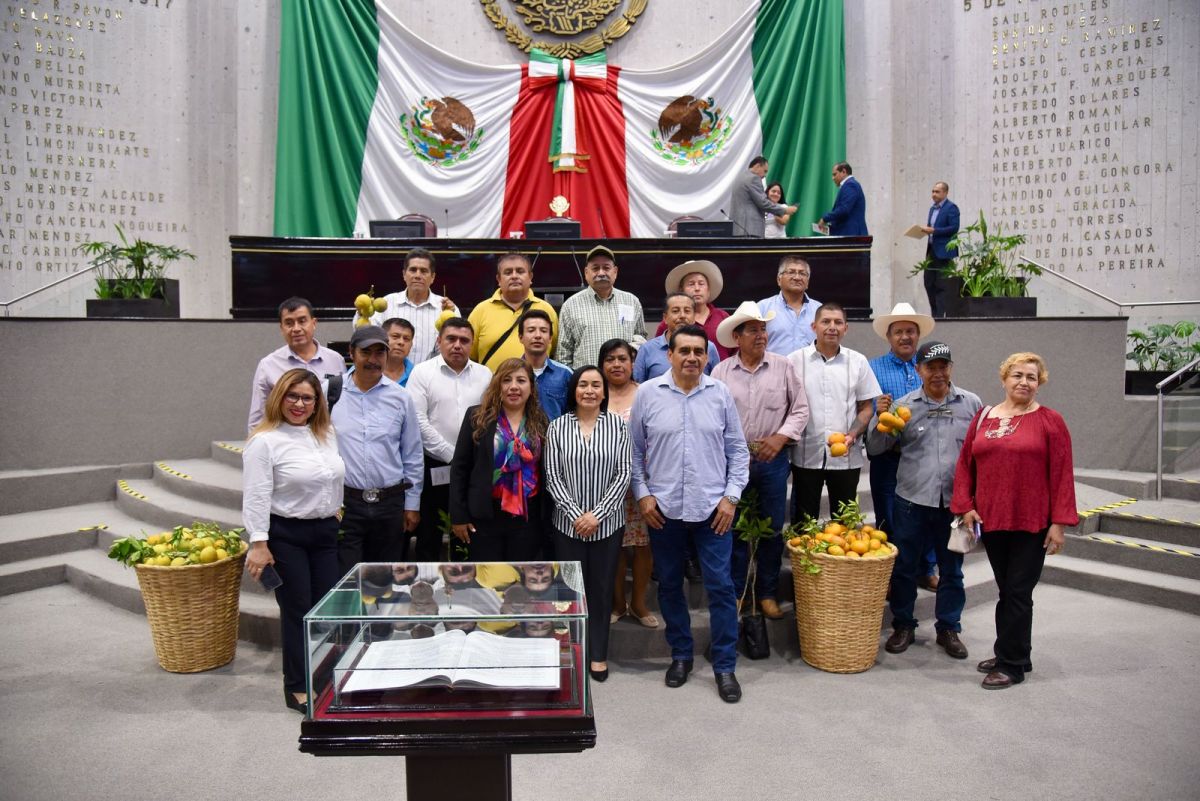 crean comision citricultura