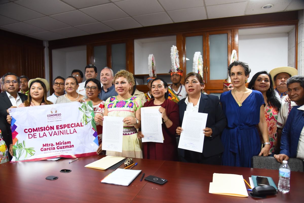 fomento promocion