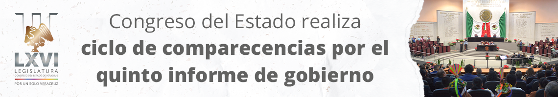 Banner - diputados