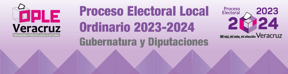Banner - Proceso electoral