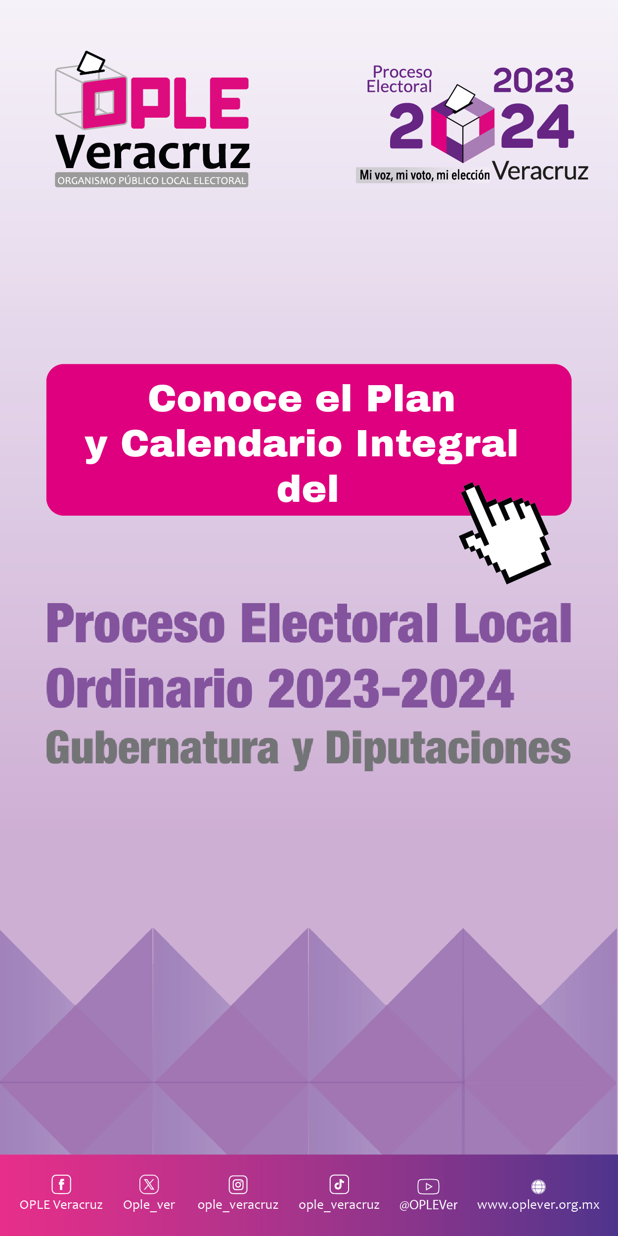 Banner - PROCESO ELECTRORAL LOCAL