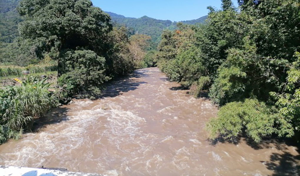 El Heraldo De Veracruz Emergencia Ecológica Por Contaminación En Planta De Tratamiento Del 8019