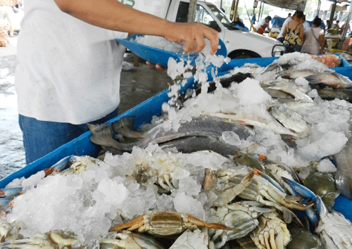 El Heraldo de Veracruz - Poza Rica - Vigila SSAVER la venta de mariscos