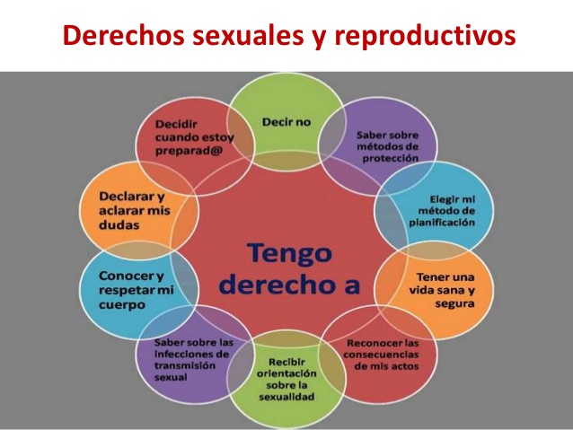 El Heraldo De Veracruz Promueven Importancia De Los Derechos Sexuales Y Reproductivos Para La 4404