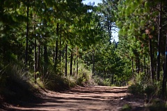 10b