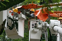 16cy46