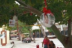 Familias mantienen esperanza 11b